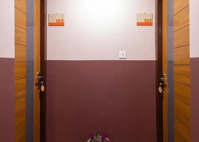 Nepal Paradise Pvt Ltd 3*